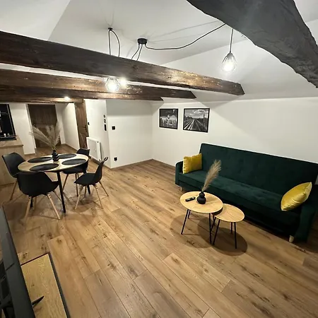 Kamienica Loft Apartment Ciechocinek Exterior photo
